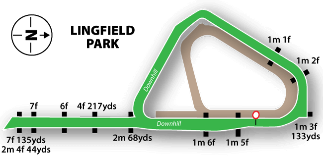 Lingfield Park flat turf course layout