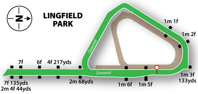 Lingfield Park National Hunt track map