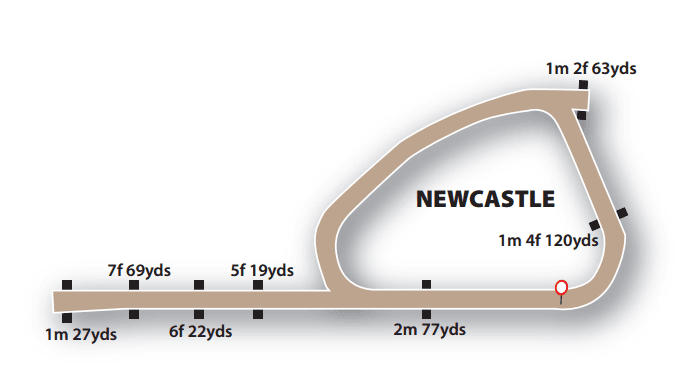 Newcastle Racecourse all-weather course layout showing the straight mile and oval