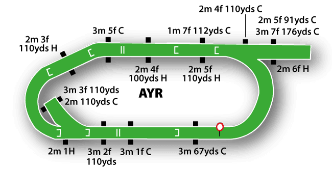 Ayr National Hunt course layout