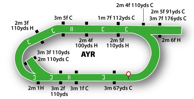 Ayr National Hunt course layout