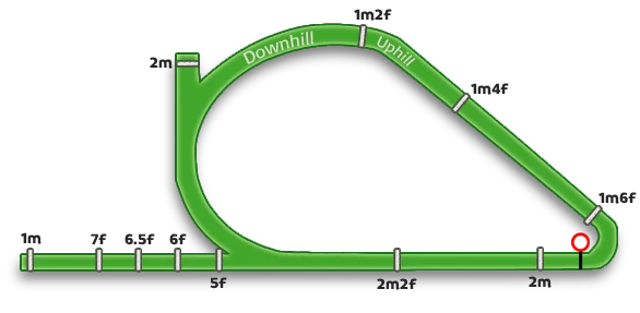 Doncaster racecourse layout diagram: the pear-shaped left-handed circuit with distance markers, the straight course, and the Rose Hill downhill-then-uphill rise