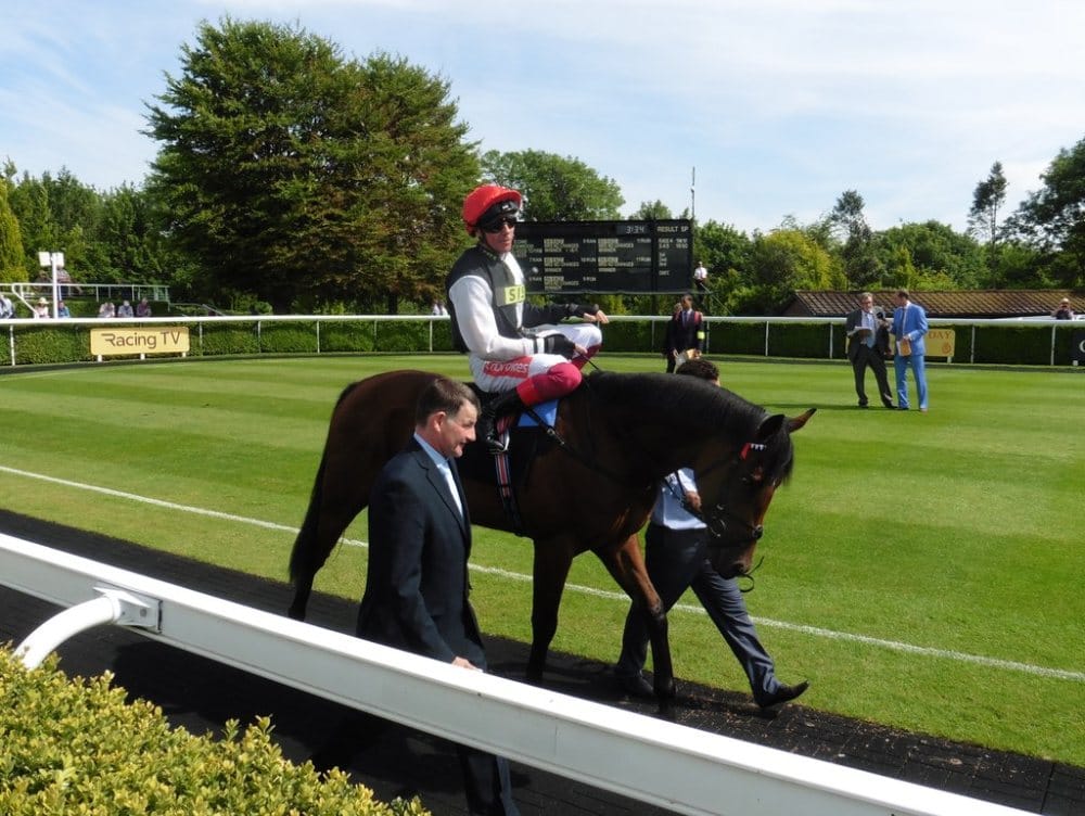 The Parade Ring at Goodwood Racecourse