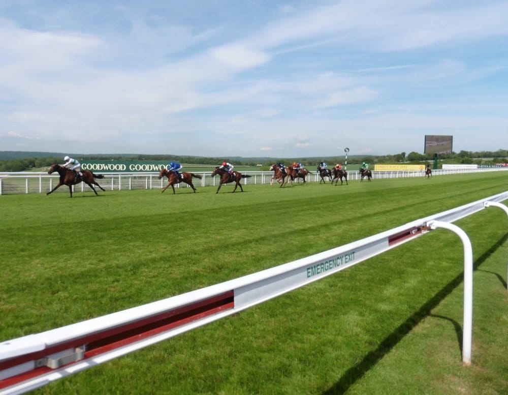 Racing at Goodwood