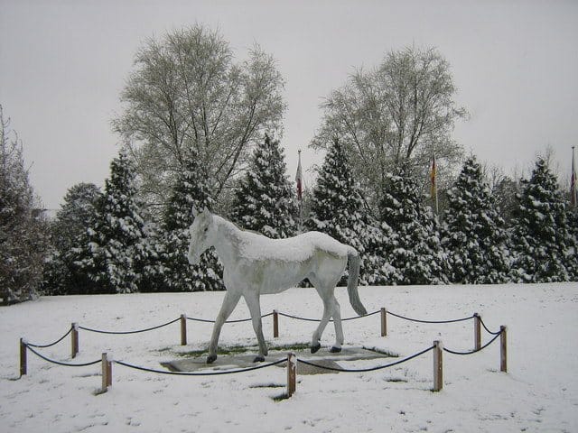 Desert Orchid statue at Kempton Park Racecourse in the snow